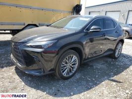 Lexus NX 2025 2 Lexus NX 2025 2