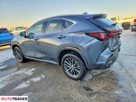 Lexus NX 2024 2