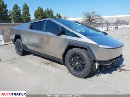 Tesla Pozostałe 2025 Tesla Pozostałe 2025