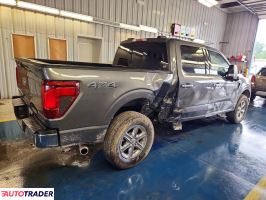 Ford Pozostałe 2024 3