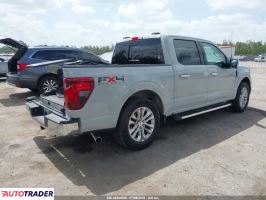 Ford Pozostałe 2024 2