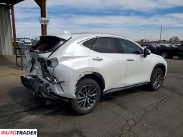 Lexus NX 2024 2