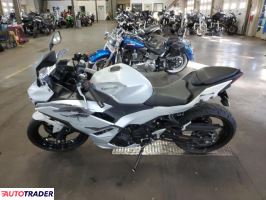 Kawasaki Pozostałe 2024 Kawasaki Pozostałe 2024