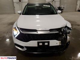 Kia Sportage 2024 2