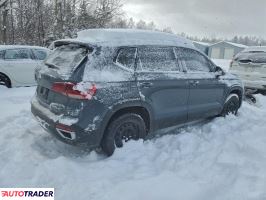 Volkswagen Pozostałe 2024 1