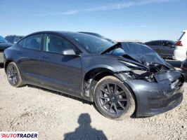 Tesla Model 3 2021 Tesla Model 3 2021