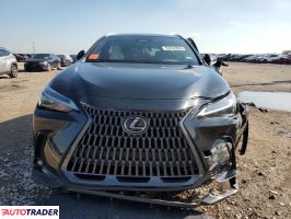 Lexus NX 2024 2