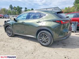 Lexus NX 2024 2