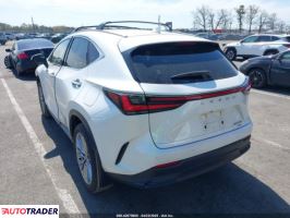 Lexus NX 2024 2