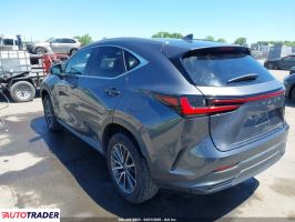 Lexus NX 2022 2
