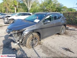 Lexus NX 2024 2