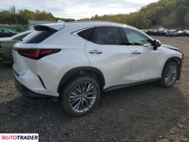 Lexus NX 2025 2