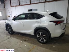 Lexus NX 2019 2 Lexus NX 2019 2
