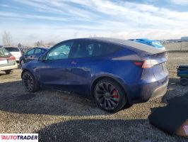 Tesla Model Y 2025