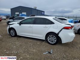 Toyota Corolla 2023 1