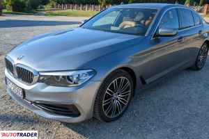 BMW 530 2019 2.0 252 KM
