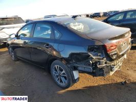 Kia Pozostałe 2024 2