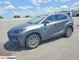 Lexus NX 2020 2