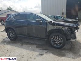 Lexus NX 2024 2