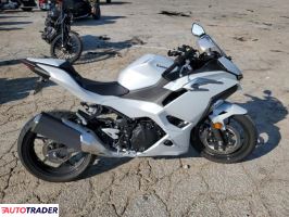 Kawasaki Pozostałe 2025 Kawasaki Pozostałe 2025