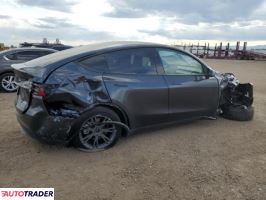 Tesla Model Y 2024 Tesla Model Y 2024