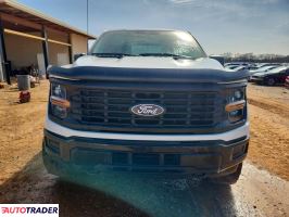 Ford Pozostałe 2024 3