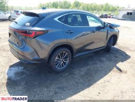 Lexus NX 2025 2