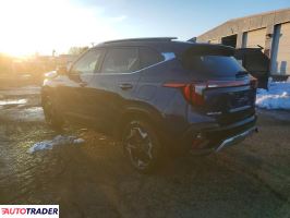 Kia Pozostałe 2024 2