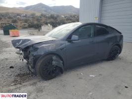 Tesla Model Y 2021 Tesla Model Y 2021