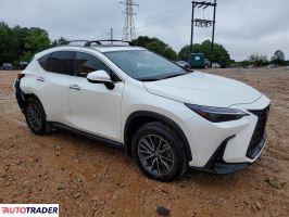Lexus NX 2025 2