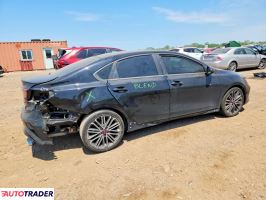 Kia Pozostałe 2024 1