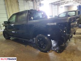 Ford Pozostałe 2024 5