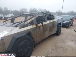 Tesla Pozostałe 2024