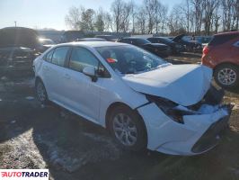 Toyota Corolla 2025 2