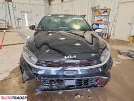Kia Pozostałe 2024 2