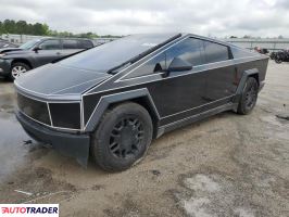 Tesla Pozostałe 2024