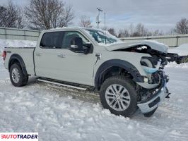 Ford Pozostałe 2024 3