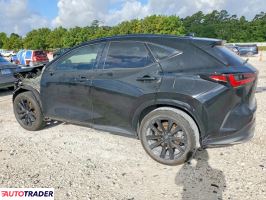 Lexus NX 2024 2
