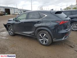 Lexus NX 2019 2