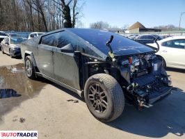 Tesla Pozostałe 2025