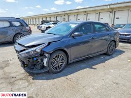 Kia Pozostałe 2024 2