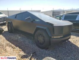 Tesla Pozostałe 2024