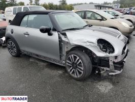 Austin Mini 2024 2