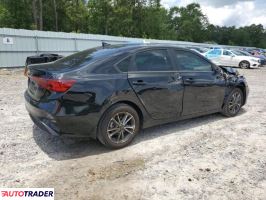 Kia Pozostałe 2024 2