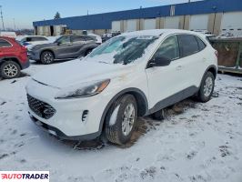 Ford Escape - zobacz ofertę
