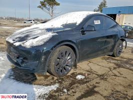 Tesla Model Y 2024