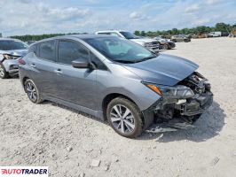 Nissan Leaf 2020