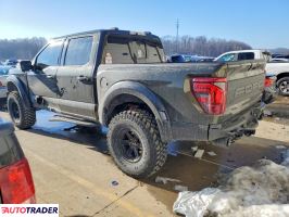 Ford Pozostałe 2024 3