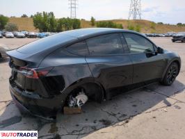 Tesla Model Y 2021 Tesla Model Y 2021