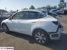 Tesla Model Y 2020